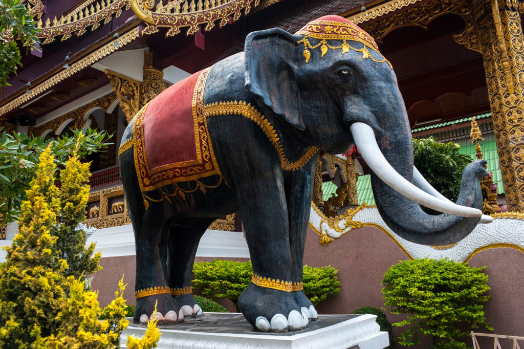 Thai Elephant Statue, Chiang Mai, Thailand